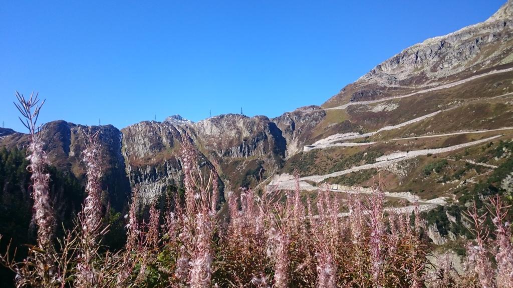 Hotel Garni Zimmermann Reith bei Kitzbühel Zewnętrze zdjęcie