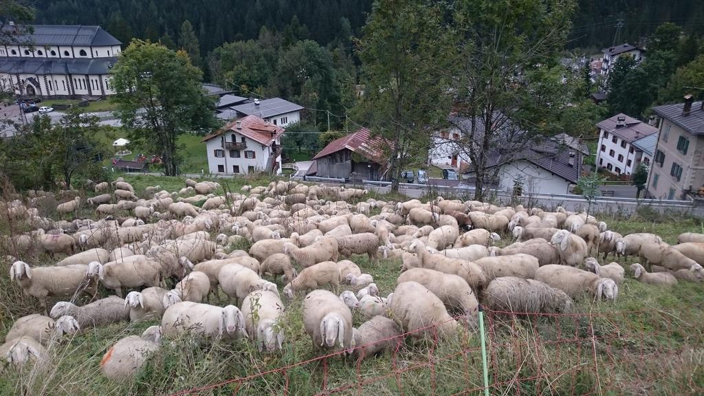 Hotel Garni Zimmermann Reith bei Kitzbühel Zewnętrze zdjęcie