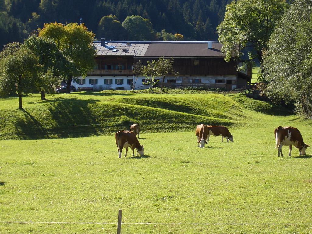 Hotel Garni Zimmermann Reith bei Kitzbühel Zewnętrze zdjęcie