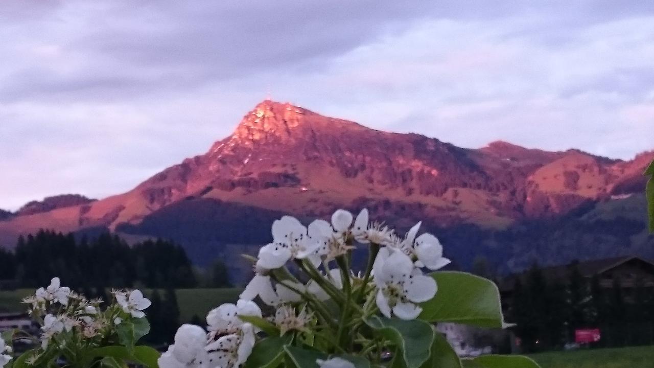 Hotel Garni Zimmermann Reith bei Kitzbühel Zewnętrze zdjęcie